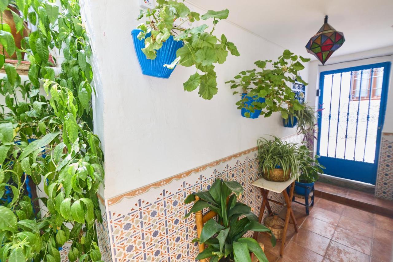 Casa El "Tablao De Las Almendras" Granada Exteriér fotografie